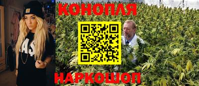 PSILOCYBIN Бугуруслан