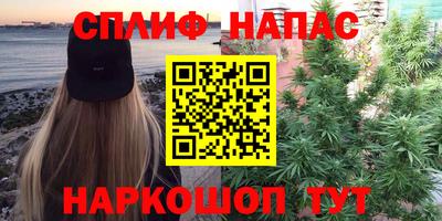 PSILOCYBIN Бугуруслан