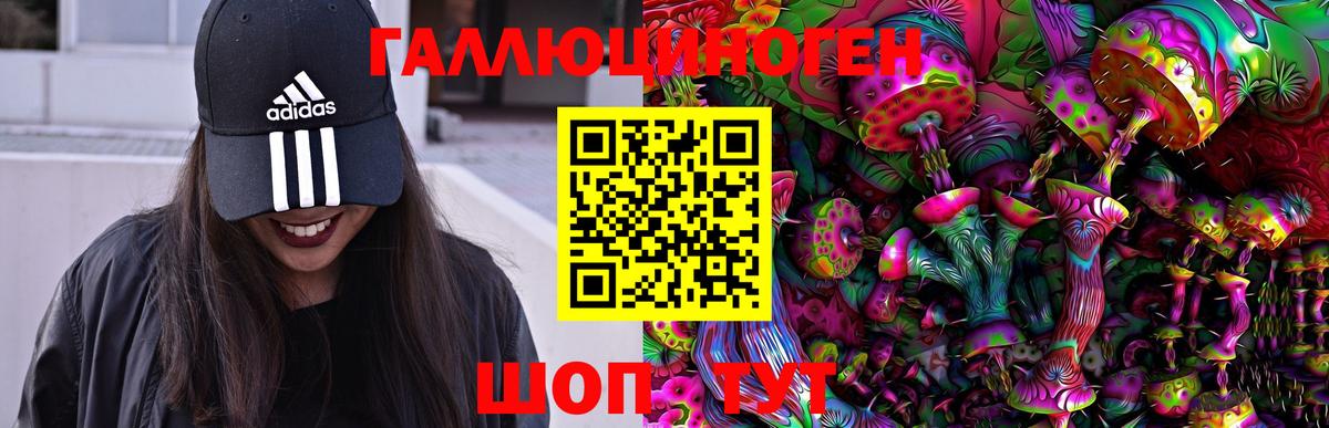 Псилоцибиновые грибы Cubensis  Вход с VPN  Кунгур 